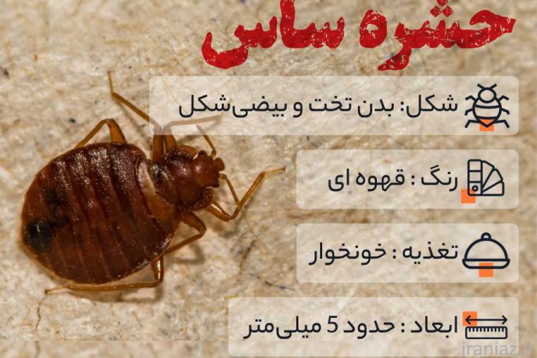 سم پاشی ساس در تهران