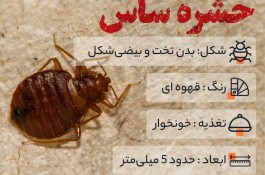 سم پاشی ساس در تهران