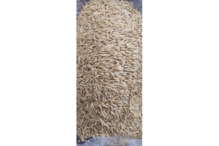 فروش ۲۰ تن جو