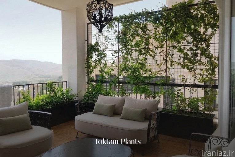 کارشناس گیاه پزشک، درمان تخصصی گل و گیاه، باغبانی