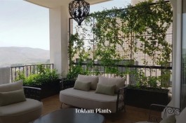 کارشناس گیاه پزشک، درمان تخصصی گل و گیاه، باغبانی