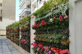 خدمات باغبانی باغچه کار سمپاش تعویض خاک گلدان وغیره