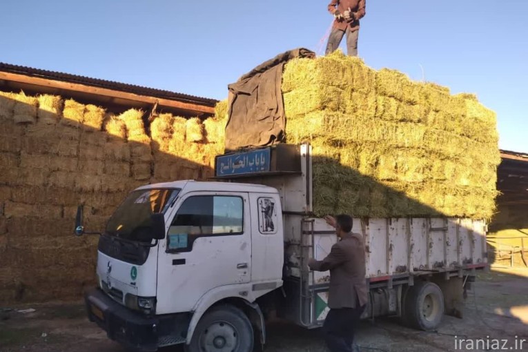 خرید و فروش کاه و کلش با کیفیت و قیمت مناسب و مستقیم