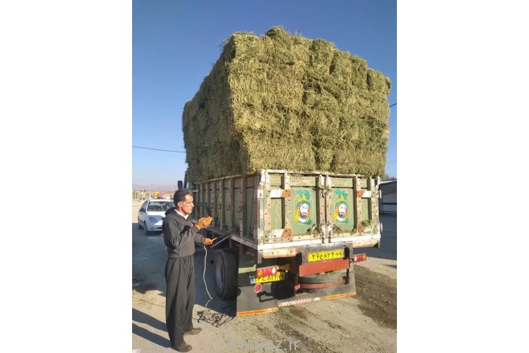 خرید و فروش کاه و کلش با کیفیت و قیمت مناسب و مستقیم