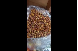 خرمای زاهدی عمده