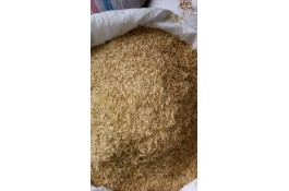 فروش شلتوک برنج با امکان سفارش عمده