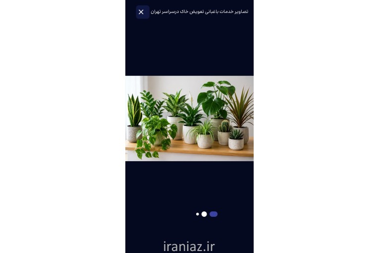 باغبانی وگل کاری وهرس تعویز خاک گلدان