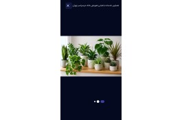 باغبانی وگل کاری وهرس تعویز خاک گلدان
