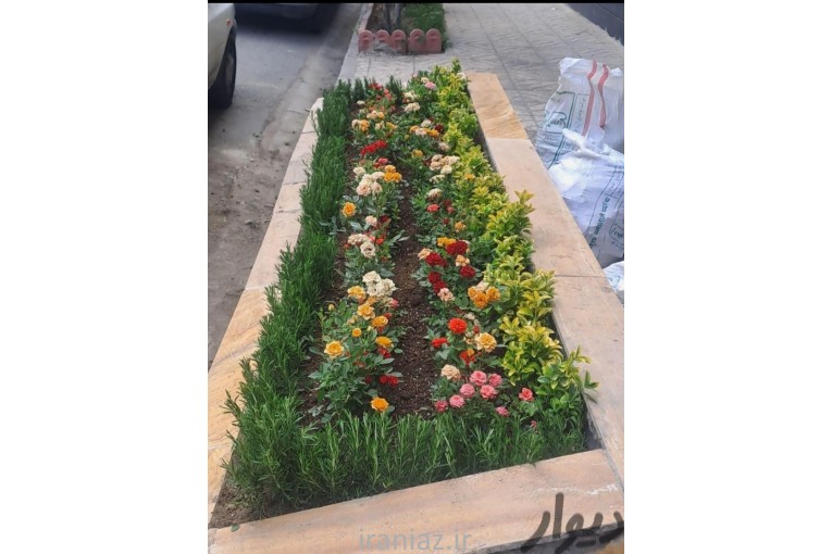 باغبانی وگل کاری وهرس تعویز خاک گلدان