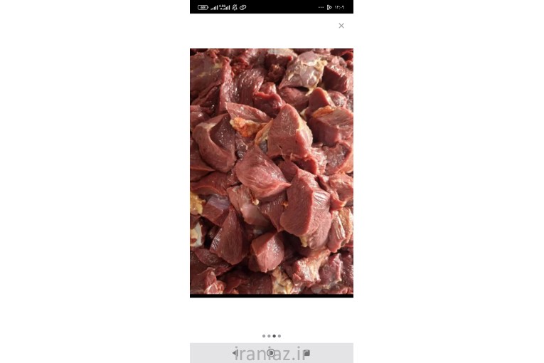 پخش عمده گوشت تخفیف ویژه مادران نوزاد دار