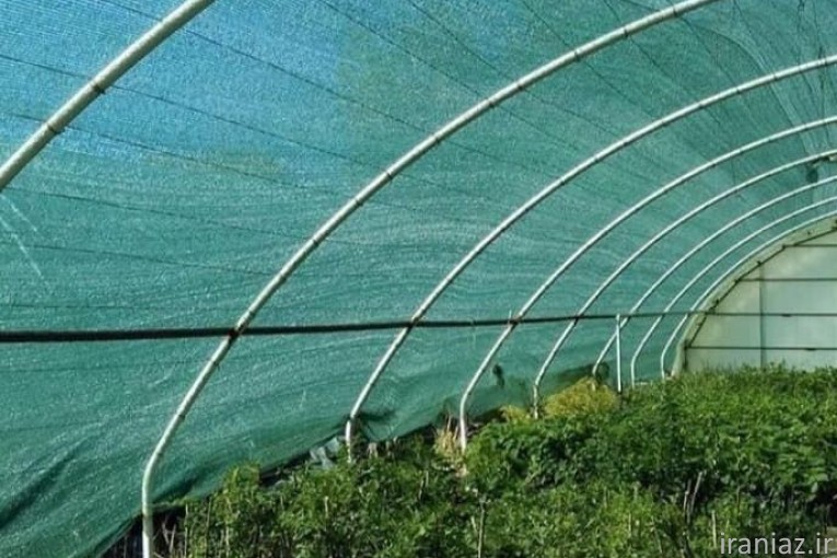 تولید کننده توری سایبان شید گلخانه سرتاسر ایران