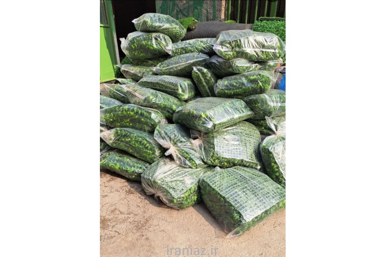 انبار چمن مصنوعی دست دوم