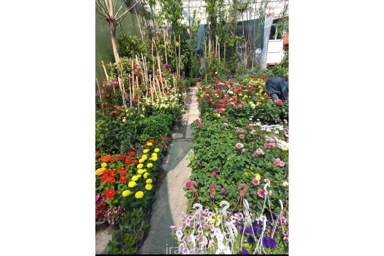 خدمات باغی تمام نقاط تهران