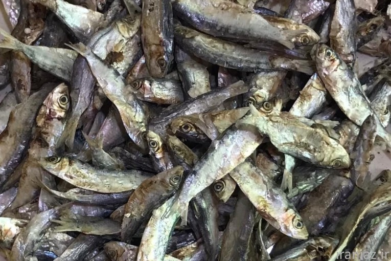 خریدار ضایعات ماهی و مرغ جهت خوراک دام