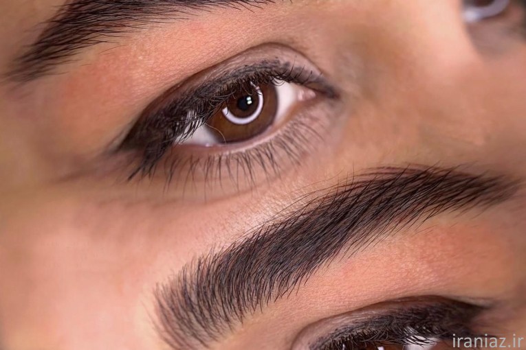 آموزش به همراه کارورزی میکرو و شید لب 