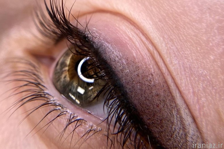 آموزش به همراه کارورزی میکرو و شید لب 