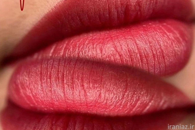 آموزش به همراه کارورزی میکرو و شید لب 