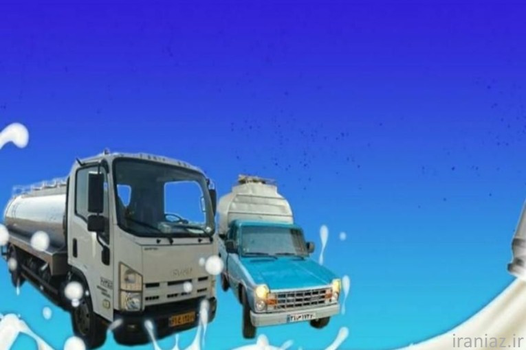 پخش و فروش عمده شیر خام گاو برای لبنیات سنتی