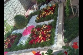 خدمات باغبانی باغچه و تعویض خاک