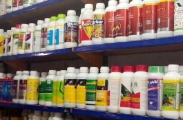 سمپاشی سوسک و ساس تضمینی