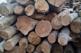 خریدار چوب و ضایعات چوبی