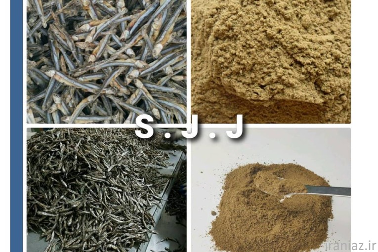 پودر ماهی متو، خرید و فروش پودر ماهی  متوتا 