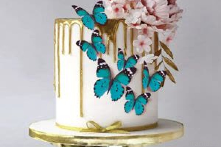 پروانه غیر خوراکی تزینی