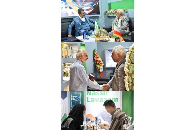 مترجم و مدرس زبان چینی - انگلیسی 