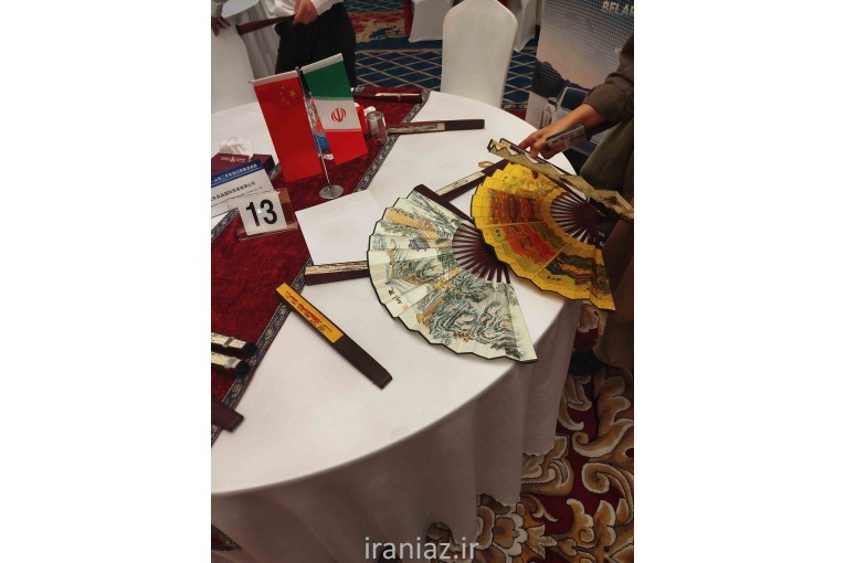 مترجم و مدرس زبان چینی - انگلیسی 