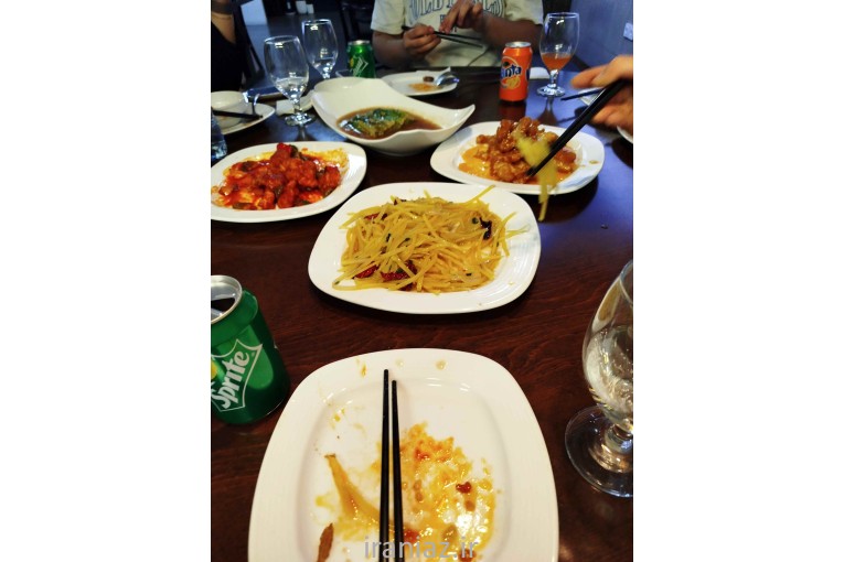 مترجم و مدرس زبان چینی - انگلیسی 