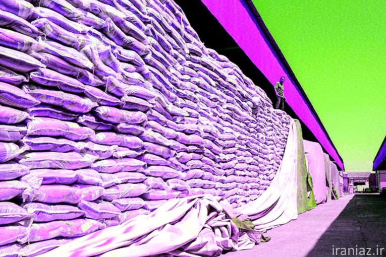 عرضه کننده برنج هندی طبیعت خاطره هایلی 