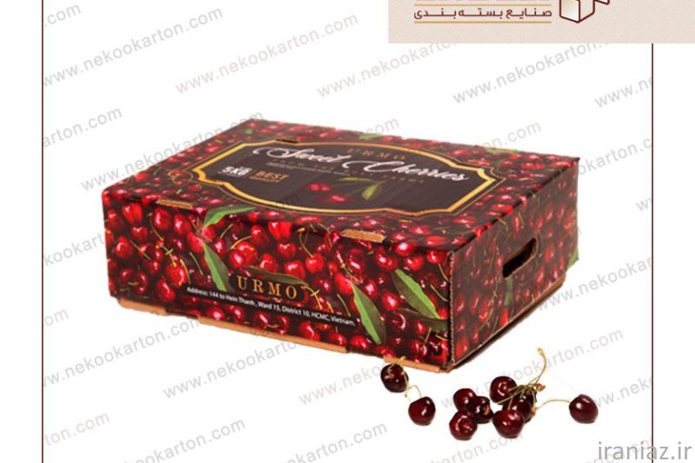 کارتن صادراتی میوه 