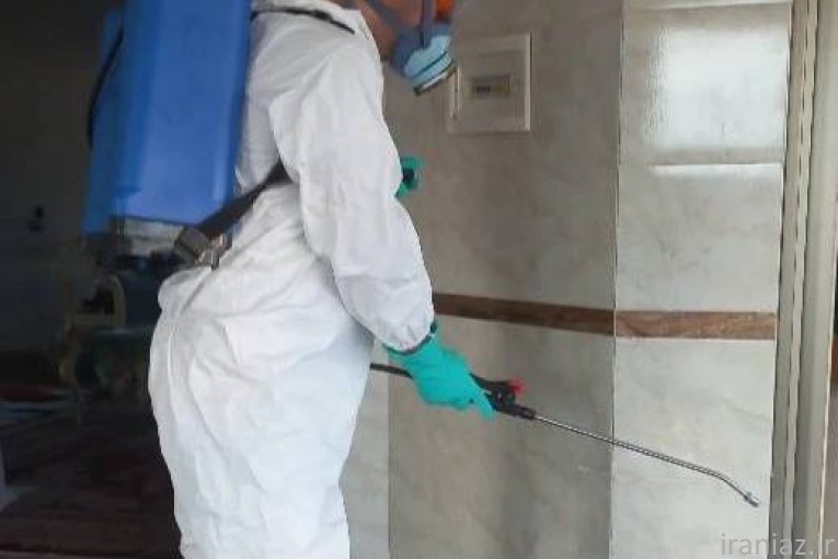 سم پاشی و نابودی حشرات و جانوران موذی و ضدعفونی ساختمانها تخصص ماست (آماده همکاری در کل کشور)
