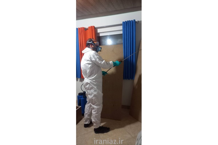 سم پاشی و نابودی حشرات و جانوران موذی و ضدعفونی ساختمانها تخصص ماست (آماده همکاری در کل کشور)