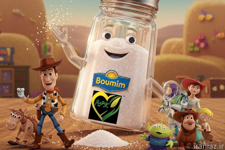 کارخانه نمک بومیم 