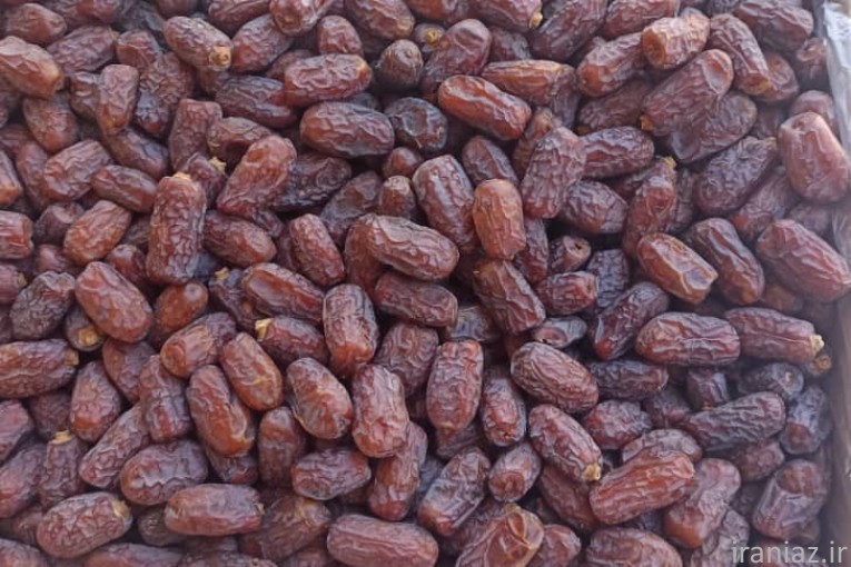 فروش عمده خرما