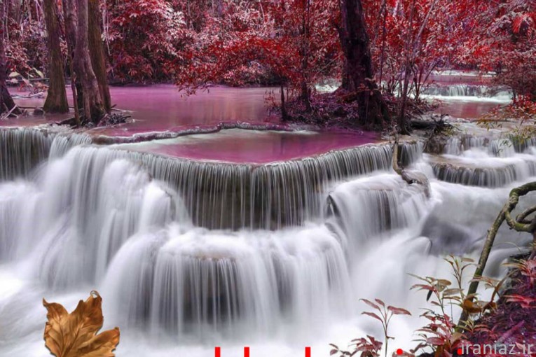 فروش کاغذ دیواری در اصفهان