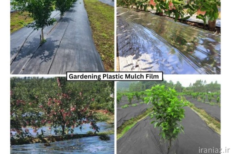 مالچ پلاستیکی کشاورزی گلخانه باغبانی و درختی