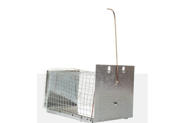 تله موش قفسی