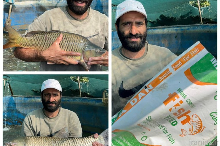 کارخانه تولید خوراک آبزیان مهادان