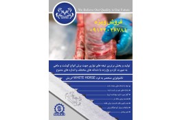 تیغ اره نواری استخوان بر برای ماهی و گوشت