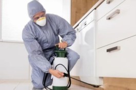 سمپاشی ساس در شهرری سمپاشی منازل شهرری شرکت سمپاشی ری سمپاشی سوسک ، موش ، کنه  